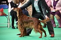 Crufts2011 013